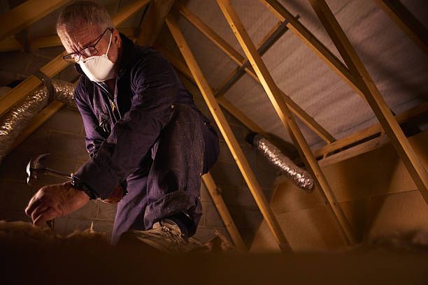 Best Insulation Maintenance and Repair in Yorkville, WI